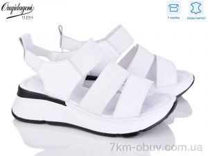 купить Dageni F09-2 оптом