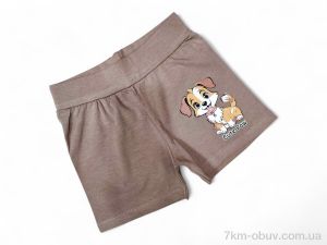 купить Kids-modnik 13142 коричневий оптом