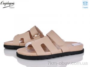 купить оптом Dageni 815-5