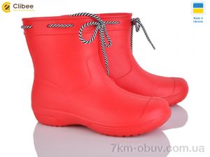 купить Clibee 119220 оптом