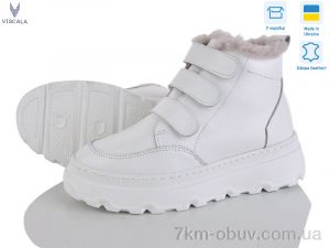 купить Viscala 27968 б.ш. L19б оптом