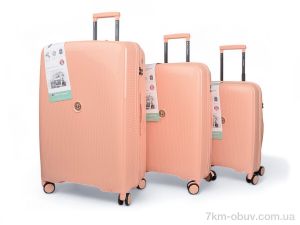 купить HOROSO HOME XL109-3 l.powder оптом
