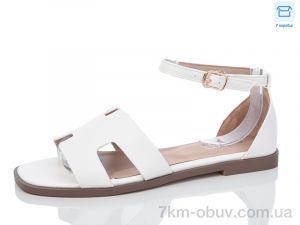 купить Hongquan B8-2 оптом