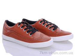 купить Class Shoes WB2 оптом