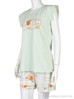 купить Boni-Shop 14817 green оптом