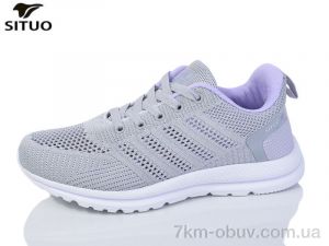 купить Situo B704-11 оптом
