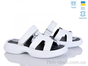 купить оптом Ailinda 1763-8