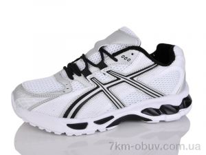 купить Moli B8031-2 оптом