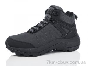 купить Boteli M364-2 оптом