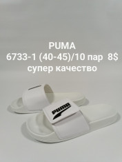 купить CLASSICA  6733-1 оптом