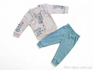 купить Kids-modnik 35600 бірюзовий реглан-штани оптом