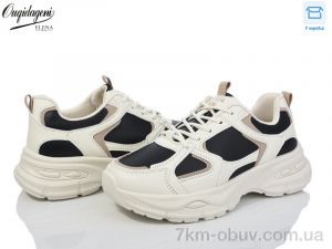 купить Dageni 9901-1 оптом