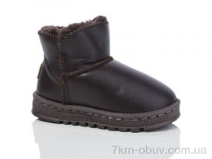 купить ASHIGULI 1001-2 оптом