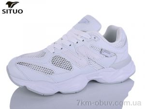 купить Situo B800-10 оптом