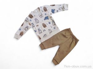 купить Kids-modnik 35601 коричневий реглан-штани оптом