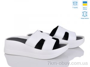 купить Ailinda 96506-8 оптом