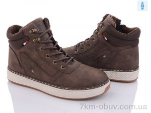 купить Violeta 9-789 brown оптом