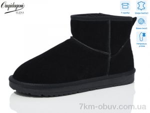 купить Dageni DA5874-1 оптом