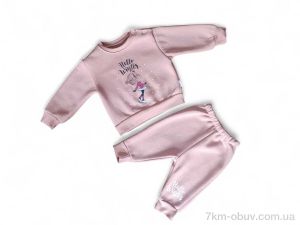 купить Kids-modnik 3476 пудра реглан-штани оптом