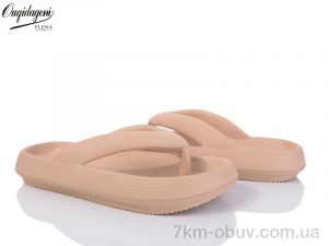 купить Dageni 1619-3 оптом