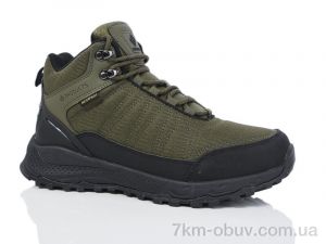 купить Boteli M367-3 оптом