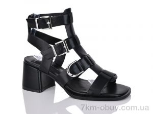 купить Teetspace-Trasta-Egga XL1719-1 оптом