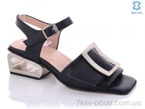 купить Viva Star 148-19 black оптом