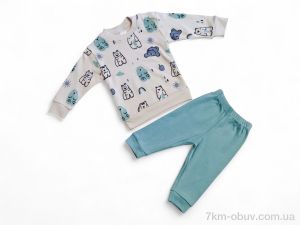 купить Kids-modnik 35601 бірюзовий реглан-штани оптом