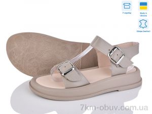 купить Ailinda 310-26 оптом