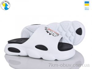 купить Jose Amorales 125221 оптом