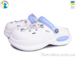 купить Jose Amorales 124430 оптом