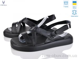 купить Viscala 23938 ч.ш.+ч. оптом