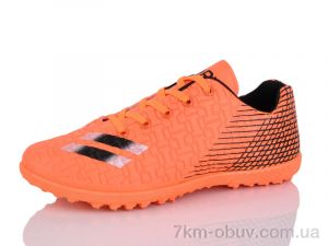 купить ASHIGULI C11-31 оптом