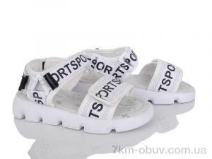 купить FG HL-B2008-6 оптом