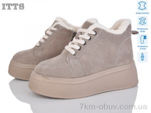 купить ITTS DD7575-17 оптом