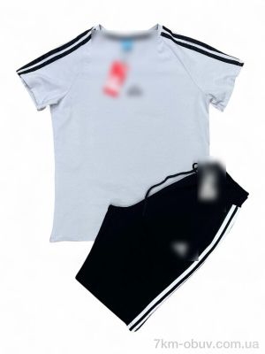 купить Verton Y4-5 white-black оптом