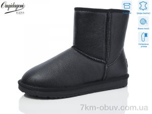 купить Dageni DAL5876-1 оптом