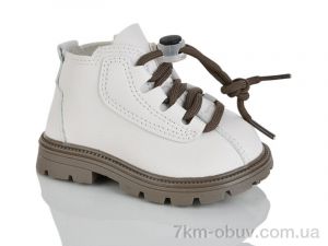 купить ASHIGULI 710-3 оптом