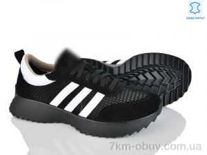 купить Stella 137-10 оптом