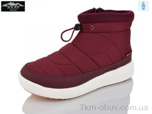 купить Baas H7043-8C оптом