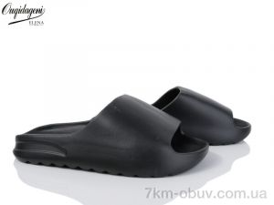 купить Dageni 1505-1 оптом