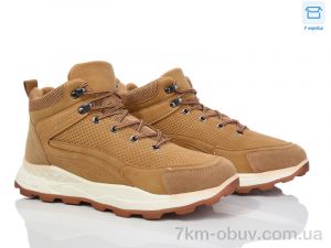 купить Favorit XT317 оптом