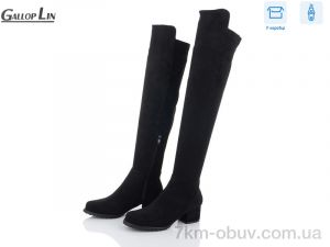 купить Gallop Lin 605 оптом