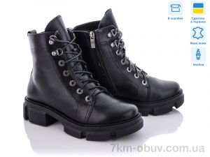 купить Stella 260-18 оптом