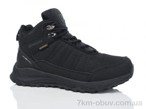 купить Boteli M367-1 оптом