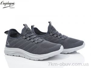 купить Dageni A2327-4 оптом