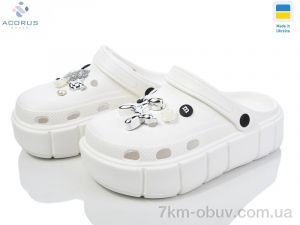 купить Acorus 152-2 оптом