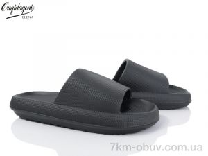 купить Dageni 668-1 оптом
