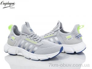 купить Dageni A2391-14 оптом