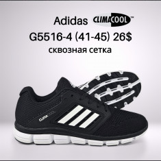 купить Boteli G5516-4 оптом